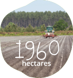 Photo d’un tracteur dans un champ des fermes Larrère avec texte 1960 hectares