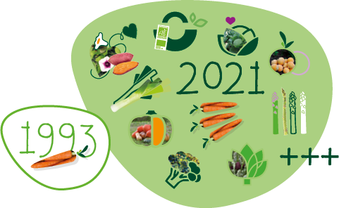 Composition graphique représentant les productions Larrère : en 1993, la carotte et en 2021, le poireau, l’asperge, la patate douce, les courges, les choux, les navets…
