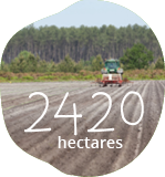 Photo d’un tracteur dans un champ des fermes Larrère avec texte 2420 hectares
