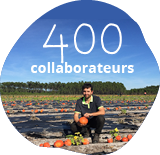 Photo d’un salarié agricole dans un champ de potimarron des fermes Larrère