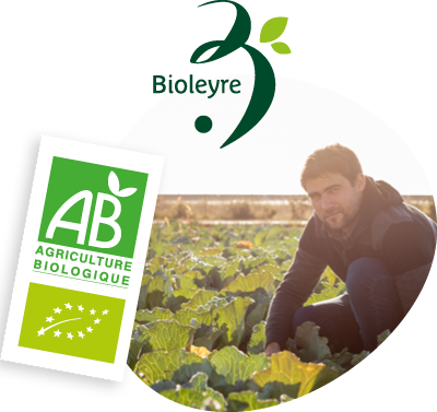 Photo de Julien Larrère dans son champ de choux landais en production biologique Bioleyre