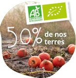 Photo de culture de potimarron bio avec logo AB