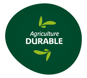 Picto agriculture durable avec petites feuilles vertes