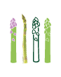 Picto d’asperges verte, violette et blanche