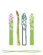 Picto asperges bio, vertes, blanches et violettes
