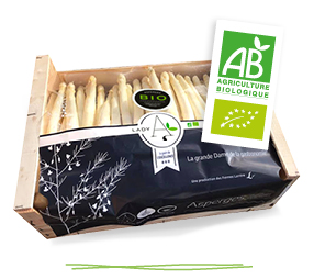 Grand colis bois d’asperges blanches bio Lady A