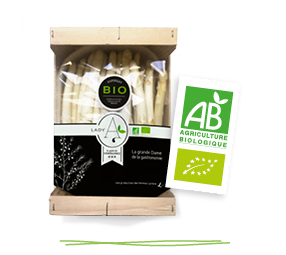 Colis bois d’asperges blanches bio Lady A