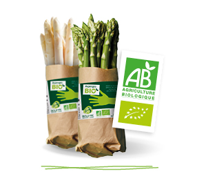 Bottes d’asperges blanches et vertes bio dans leur emballage kraft