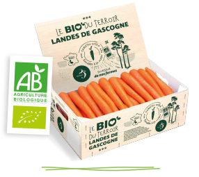 Colis bois de carottes litées bio