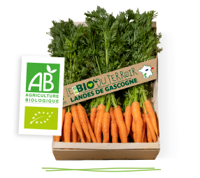 Sachet de carottes bio des Landes