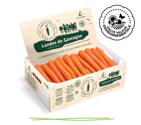 Colis bois carottes litées extra haute valeur environnementale