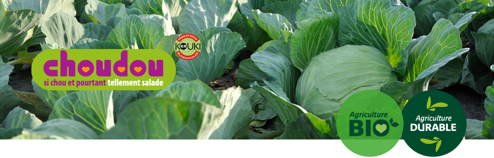 Zoom sur un champ de Choudou, logos agriculture durable et agriculture bio