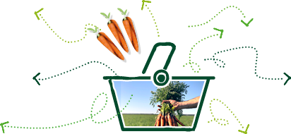 Picto d’un panier avec différentes directions de flèches pour symboliser le circuit de distribution de la carotte