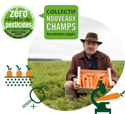 Photo de José Larrère dans son champ de carottes des Landes en agriculture zéro résidu de pesticides