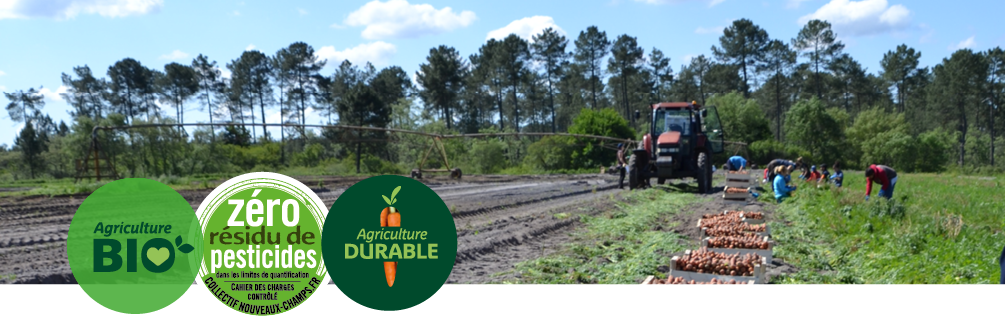 Photo de récolte de carottes avec pins en arrière plan et logos bio, zrp et agriculture durable