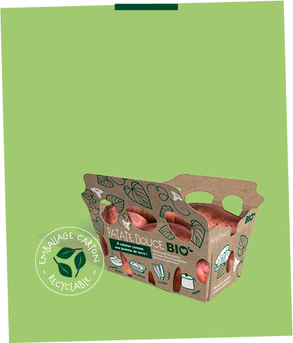 Barquette carton 100% recyclable de patates douces