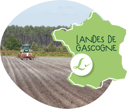 Carte du terroir des Fermes Larrère. Vue d’un tracteur dans un champ avec pins en arrière plan et carte de France pour localiser les Landes de Gascogne