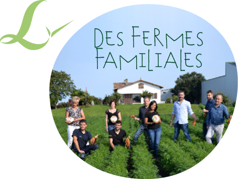 Famille Larrère dans un champs de carottes