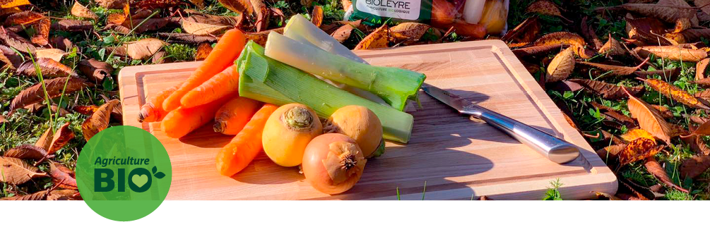 Assortiment de légumes bio avec couteau de cuisine sur une planche à découper en bois