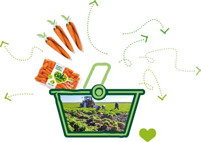 Illustration d’un panier de course avec une photo de la récolte des carottes et la photo d’un sachet de carottes, prêt à la vente