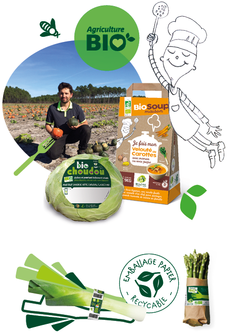 Composition de photos et de dessins illustrant les innovations responsables des fermes Larrère : le Choudou bio, Biosoup’ maison et les emballages en papier recyclable, notamment utilisés pour le poireau et les asperges.
