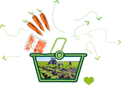 Illustration d’un panier de course avec une photo de la récolte des carottes et la photo d’un sachet de carottes, prêt à la vente