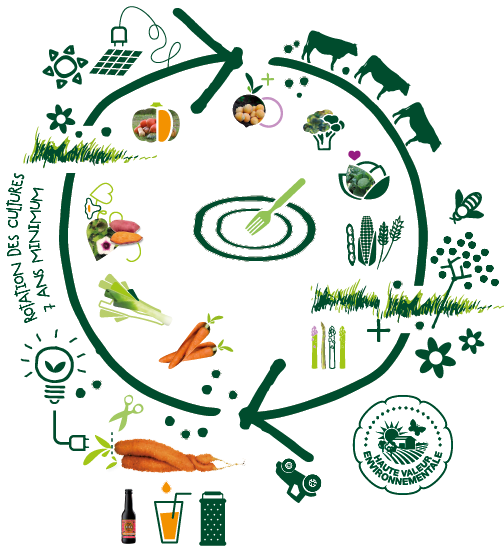 Schéma illustrant l’économie circulaire : un principe fondamental pour une agriculture et un développement durable
