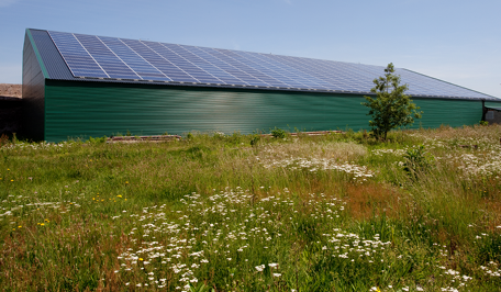 Bâtiment agricole avec panneaux photovoltaïques sur le toit et jachère fleurie en premier plan