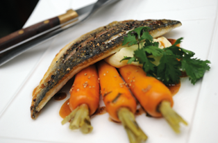 Présentation d’un plat composé d’un filet de poisson accompagné de carottes Larrère fraîchement récoltées