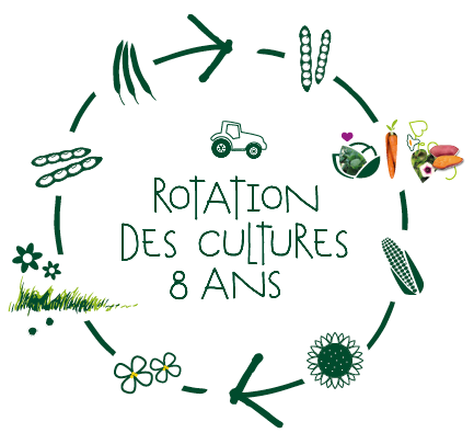 Illustration de rotation des grandes cultures Larrère sur 8 ans