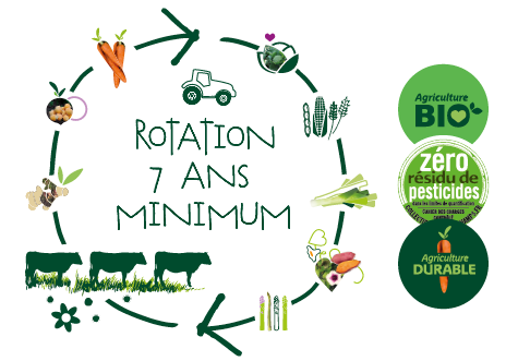 Schéma représentatif du principe de rotation des cultures sur 7 ans avec pictos bio, ZRP et agriculture durable
