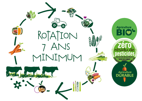 Schéma représentatif du principe de rotation des cultures sur 7 ans avec pictos bio, ZRP et agriculture durable