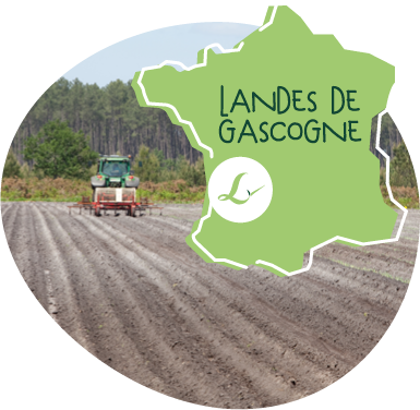 Carte du terroir des Fermes Larrère. Vue d’un tracteur dans un champ avec pins en arrière plan et carte de France pour localiser les Landes de Gascogne